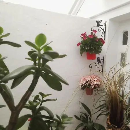 La Flor De Mayo Apartment *