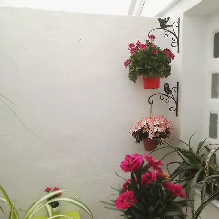 La Flor De Mayo Apartment Cordoba