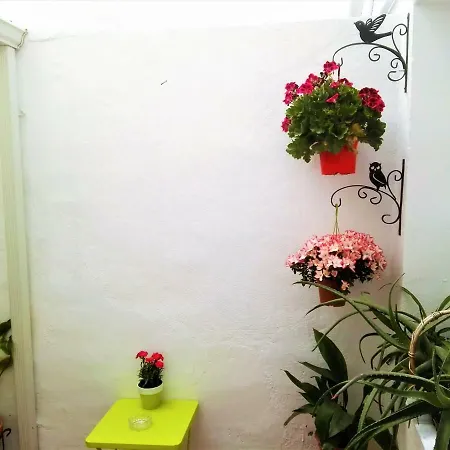 La Flor De Mayo Apartment *